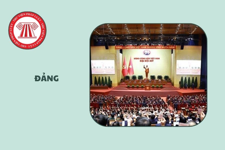 Hỏi đáp Pháp luật