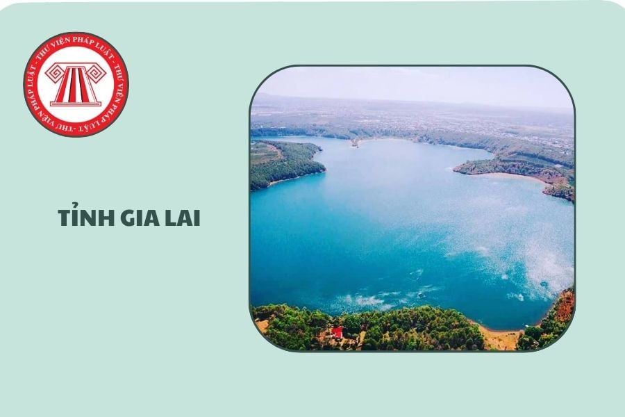 Hỏi đáp Pháp luật