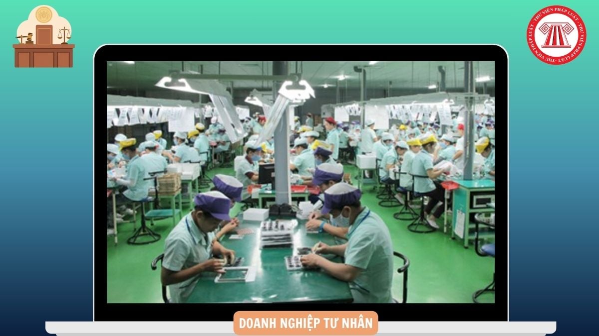 Hỏi đáp Pháp luật