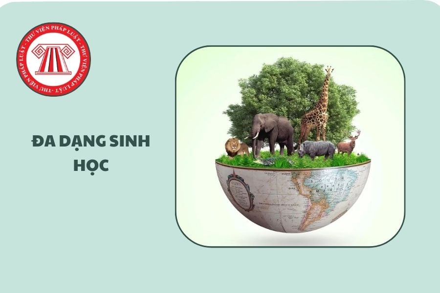 Toàn văn Thông tư 83/2025/TT-BNNMT quy định chi tiết Luật Đa dạng sinh học, Nghị định hướng dẫn Luật Đa dạng sinh học và Luật Bảo vệ môi trường thế nào?
