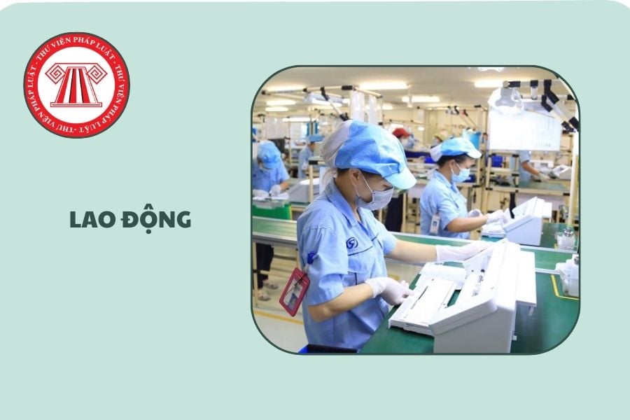 Hỏi đáp Pháp luật