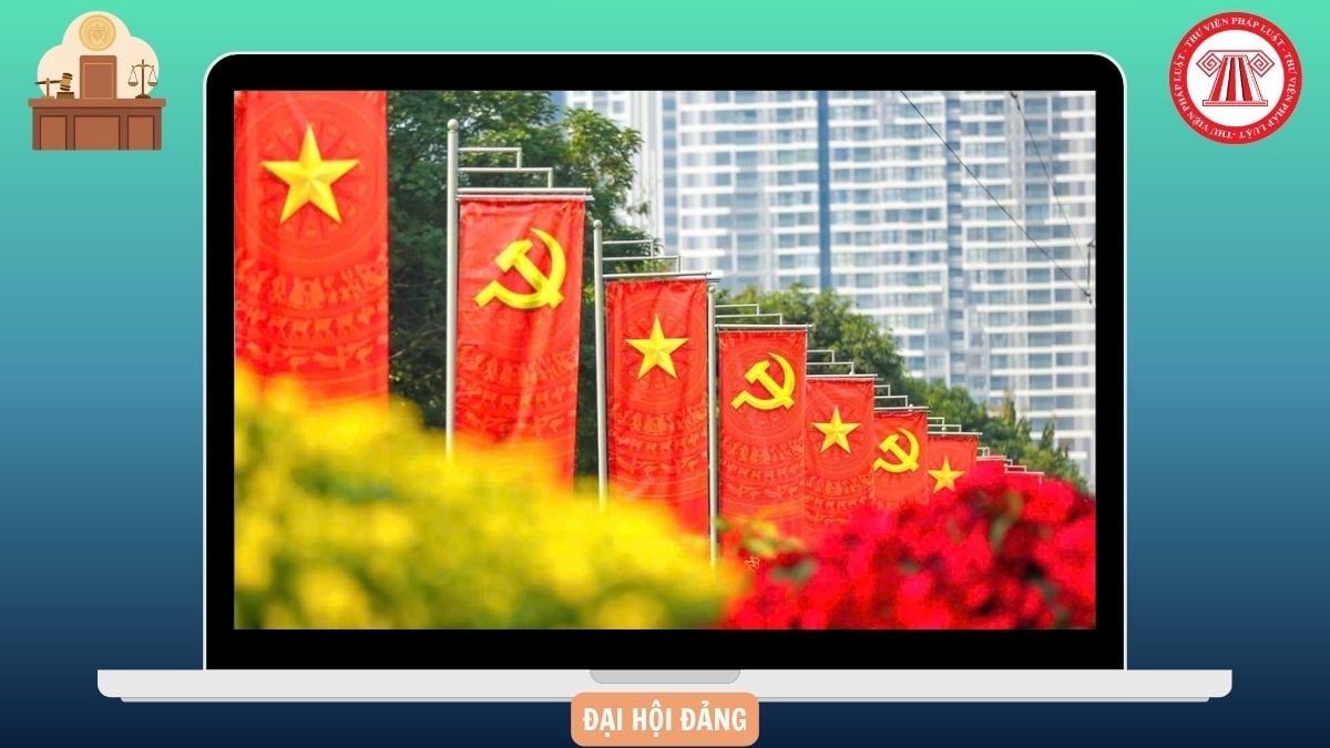 Hỏi đáp Pháp luật
