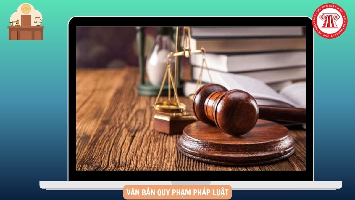 Hỏi đáp Pháp luật