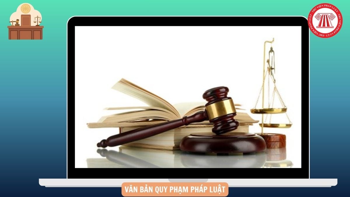 Hỏi đáp Pháp luật
