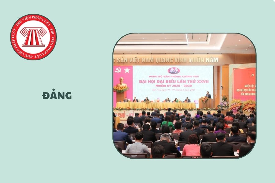 Hỏi đáp Pháp luật