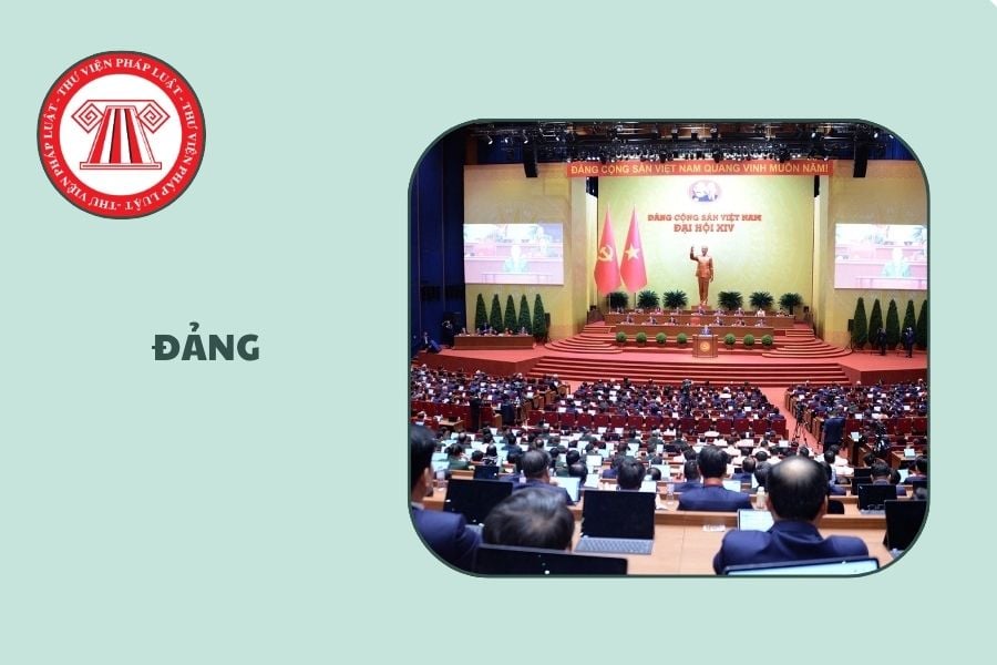 Hỏi đáp Pháp luật
