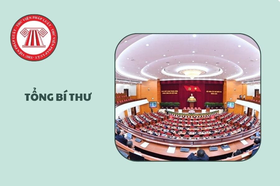 Hỏi đáp Pháp luật