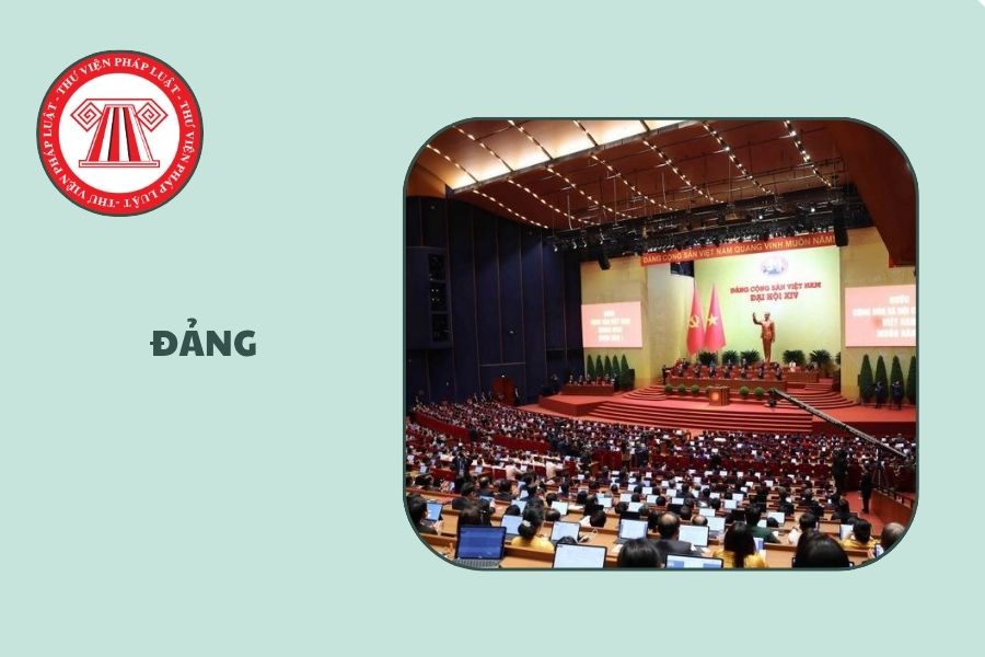 Hỏi đáp Pháp luật