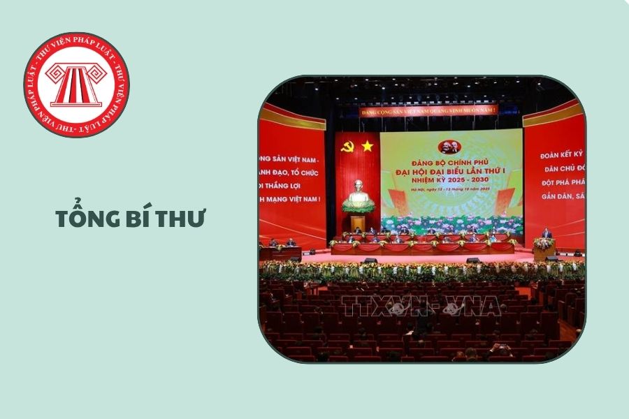 Hỏi đáp Pháp luật