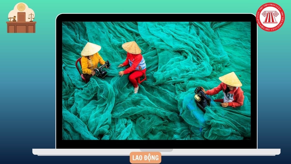 Hỏi đáp Pháp luật