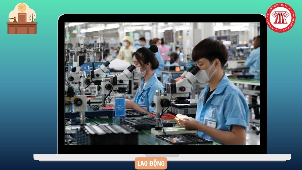 Hỏi đáp Pháp luật