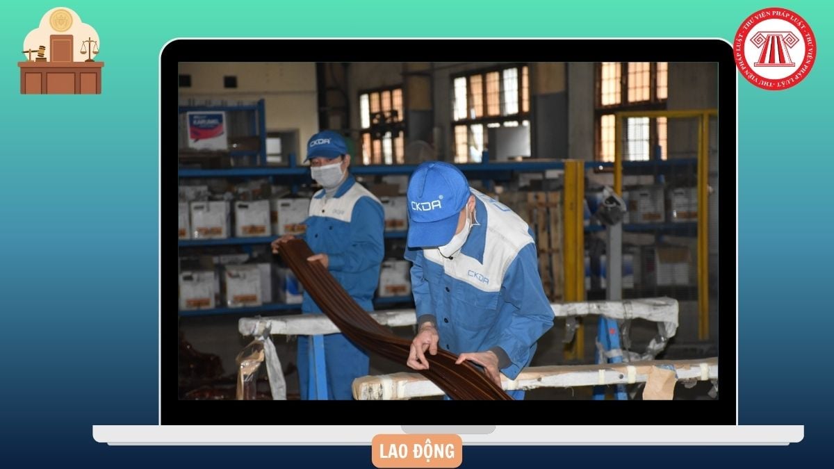 Hỏi đáp Pháp luật