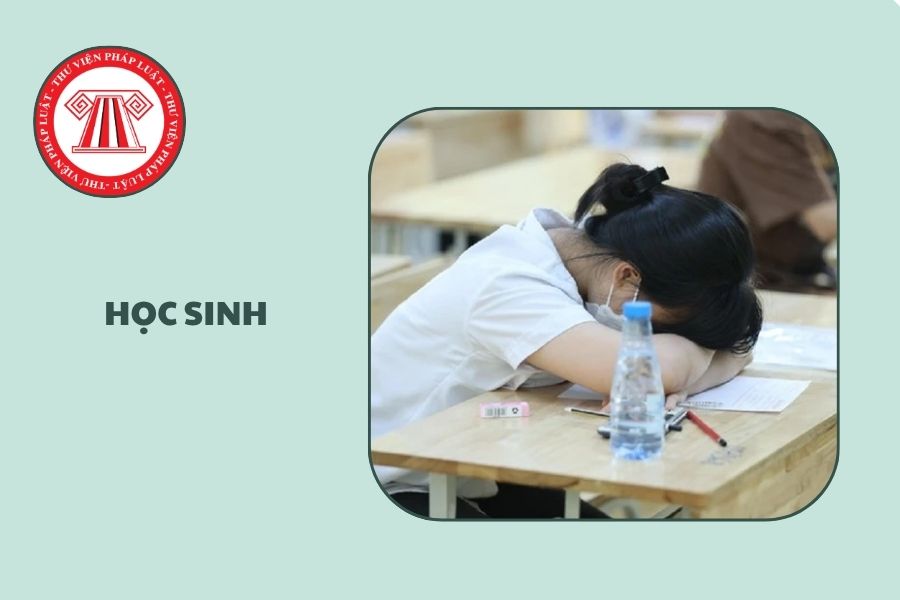 Hỏi đáp Pháp luật