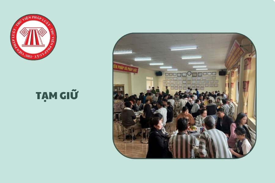 Hỏi đáp Pháp luật