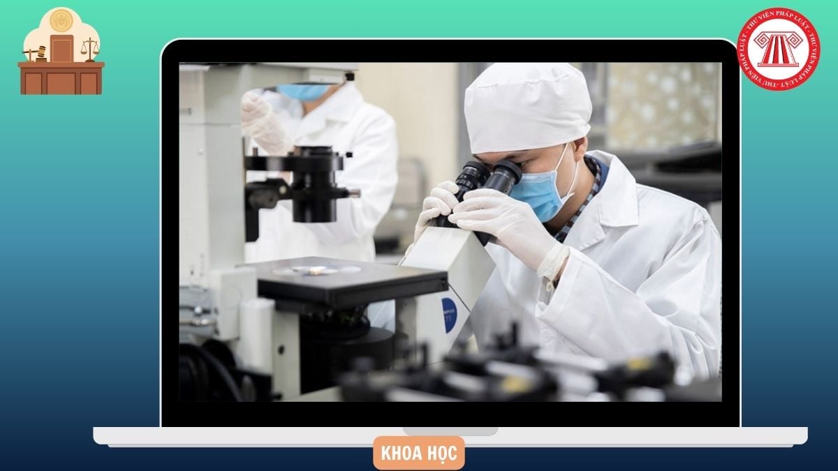 Hỏi đáp Pháp luật