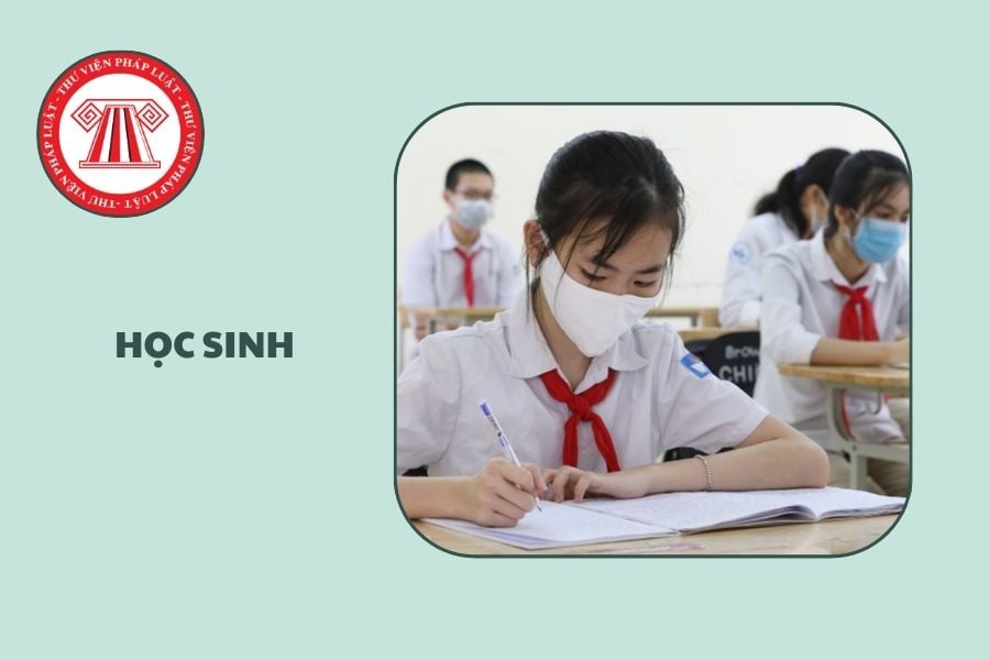 Hỏi đáp Pháp luật