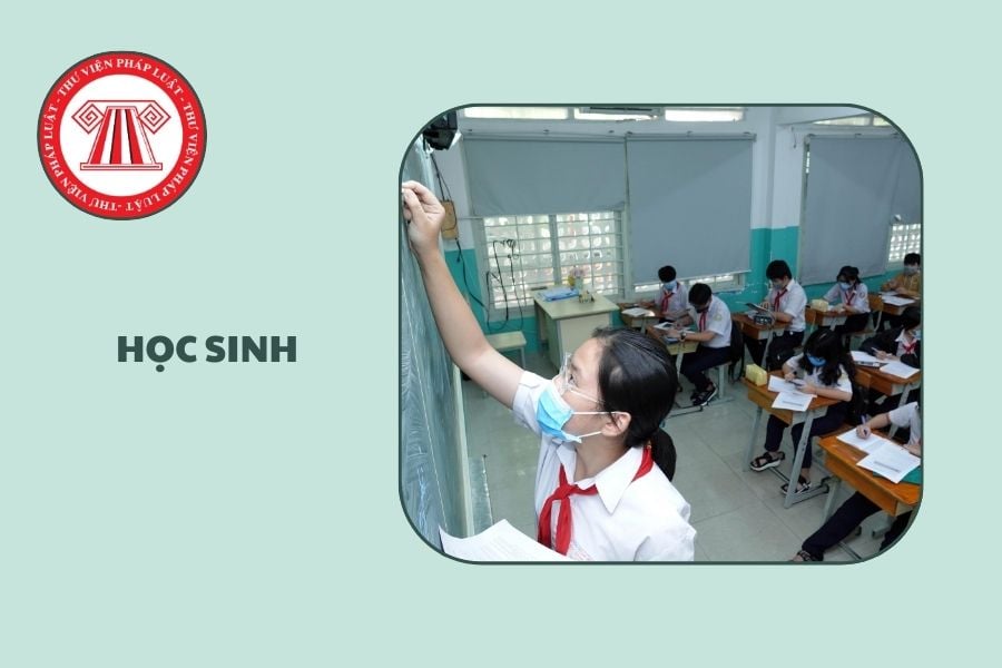 Hỏi đáp Pháp luật