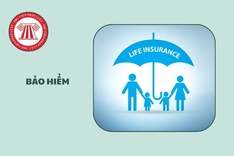 Hỏi đáp Pháp luật