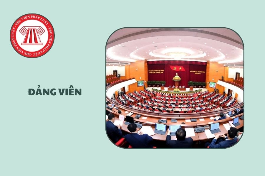 Hỏi đáp Pháp luật