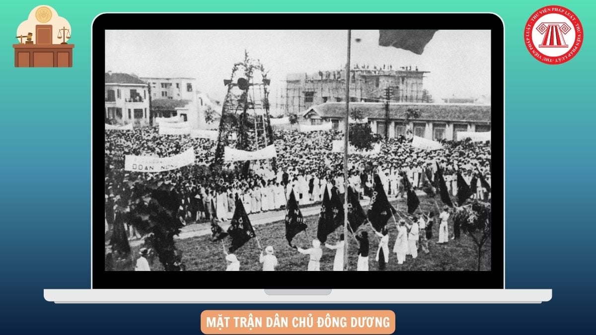 Hỏi đáp Pháp luật
