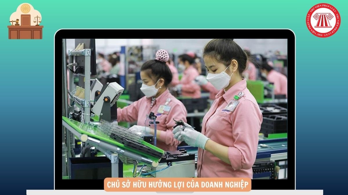 Hỏi đáp Pháp luật
