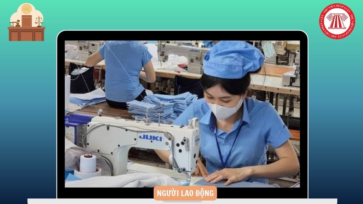 Hỏi đáp Pháp luật