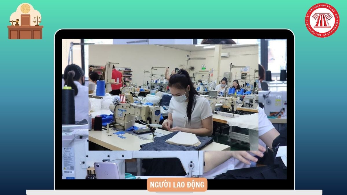 Hỏi đáp Pháp luật