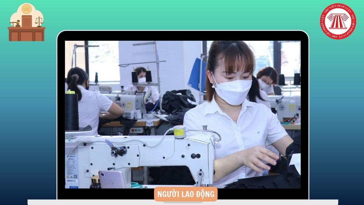 Hỏi đáp Pháp luật