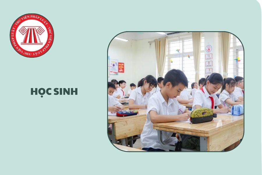Hỏi đáp Pháp luật