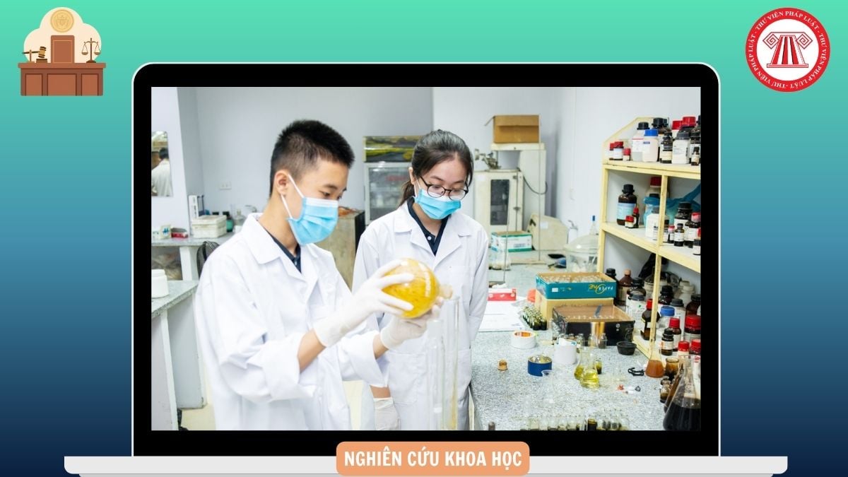 Hỏi đáp Pháp luật