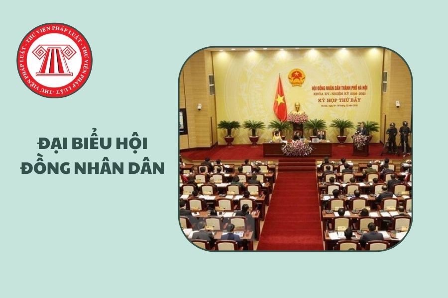Hỏi đáp Pháp luật