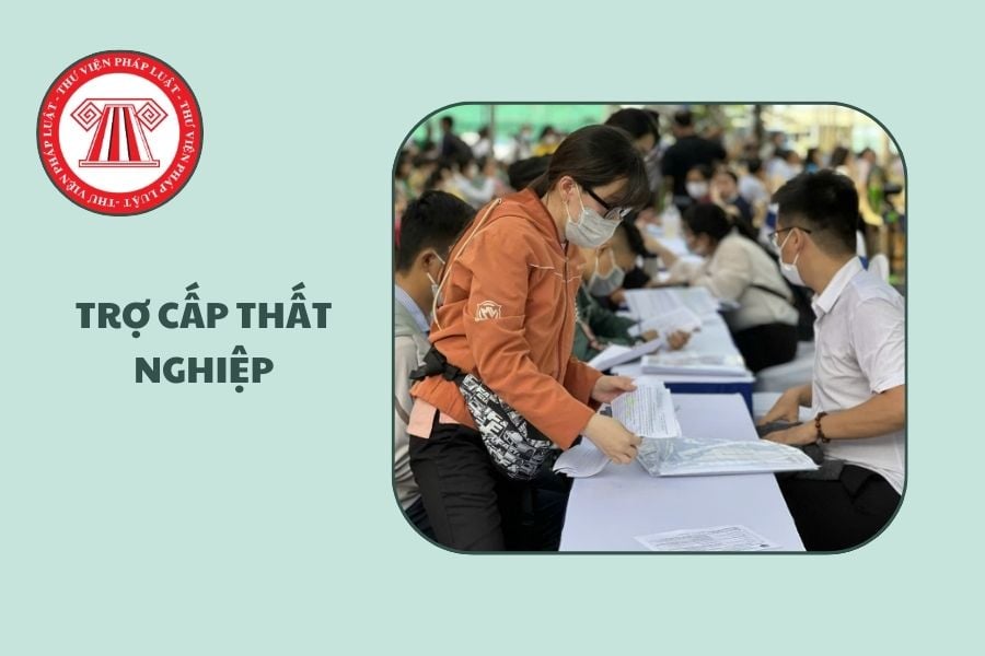 Hỏi đáp Pháp luật