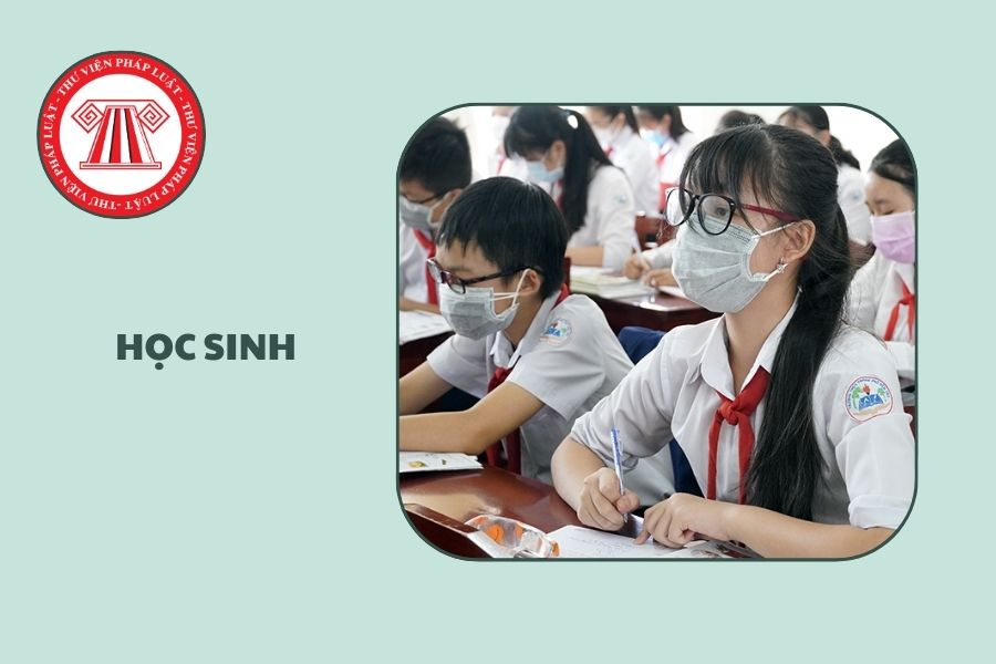 Lịch nghỉ Tết Âm lịch 2026 học sinh Hải Phòng mấy ngày?