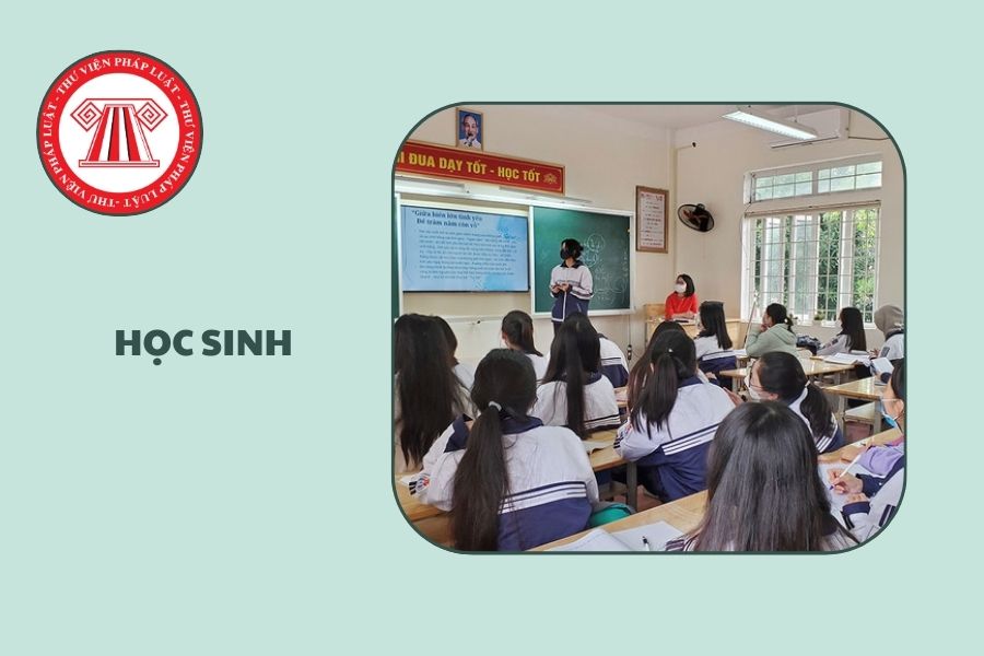 Hỏi đáp Pháp luật