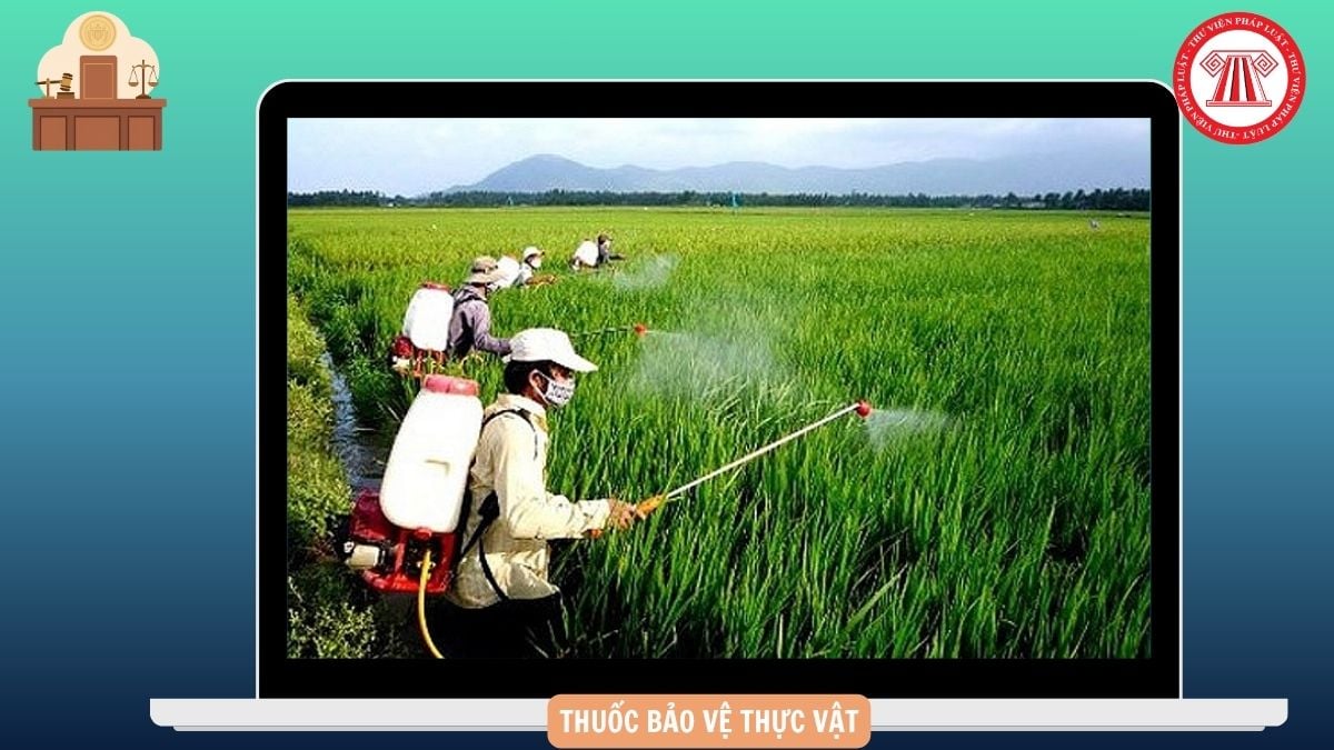 Hỏi đáp Pháp luật