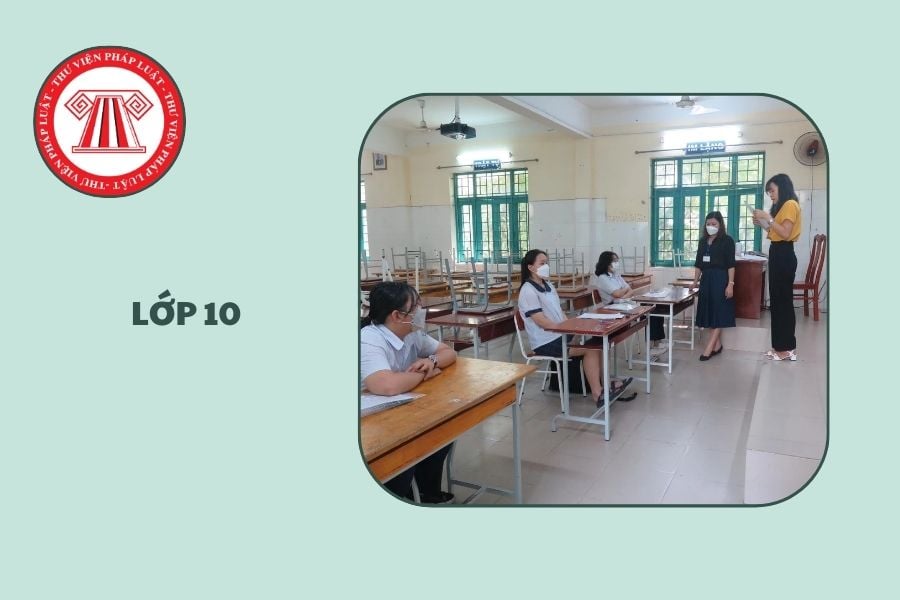 Hỏi đáp Pháp luật