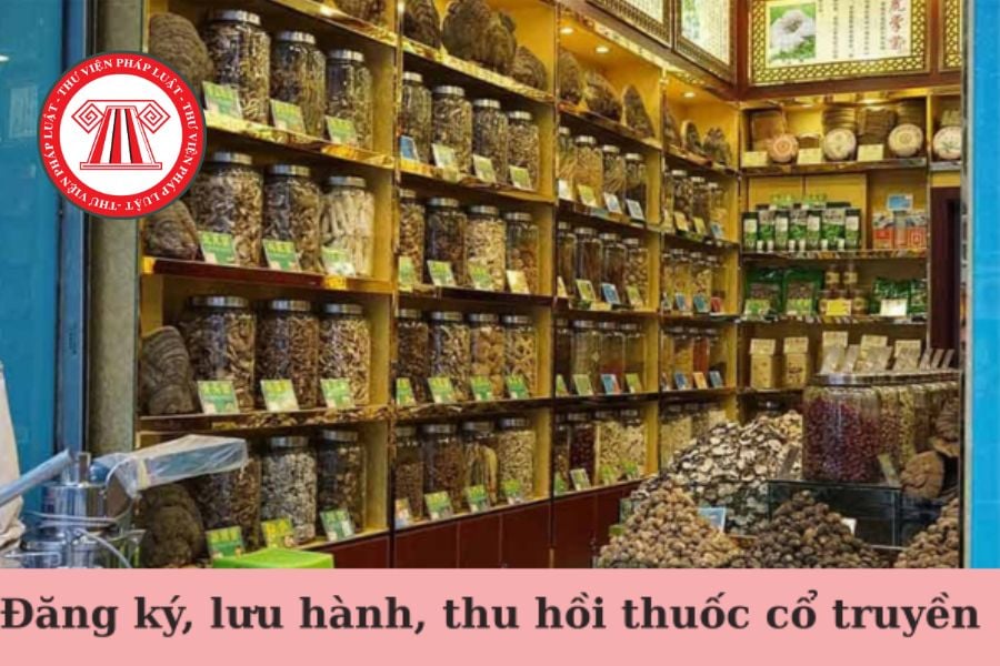 Hỏi đáp Pháp luật