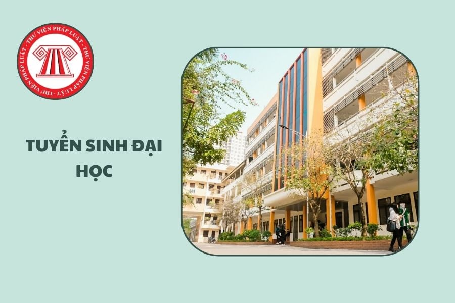 Hỏi đáp Pháp luật