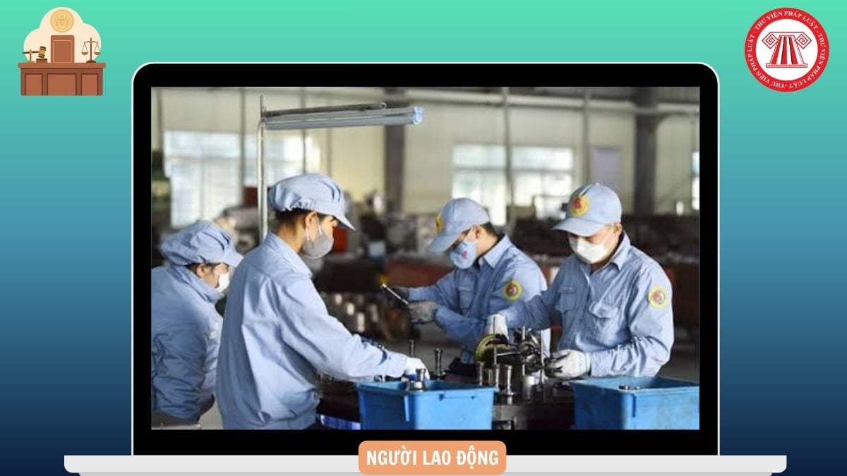 Hỏi đáp Pháp luật
