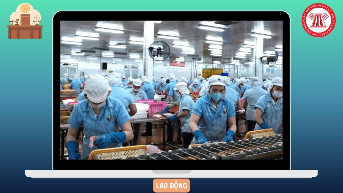 Đáp án Cuộc thi Tìm hiểu An toàn vệ sinh lao động năm 2026 tỉnh Khánh Hòa như thế nào?