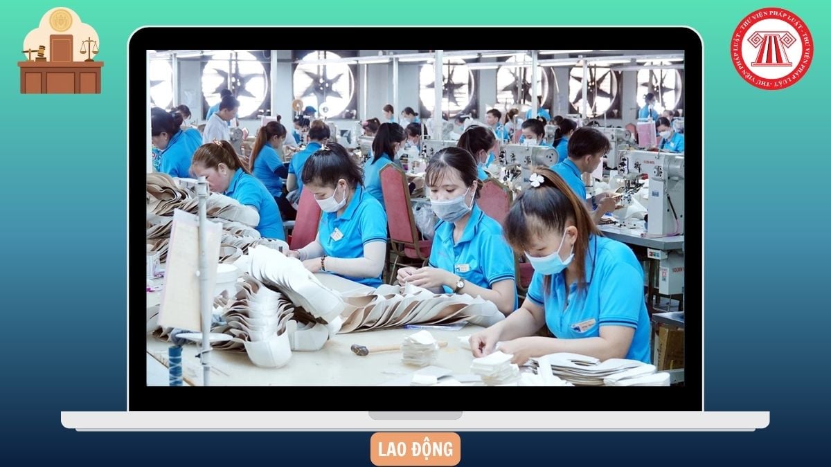 Hỏi đáp Pháp luật