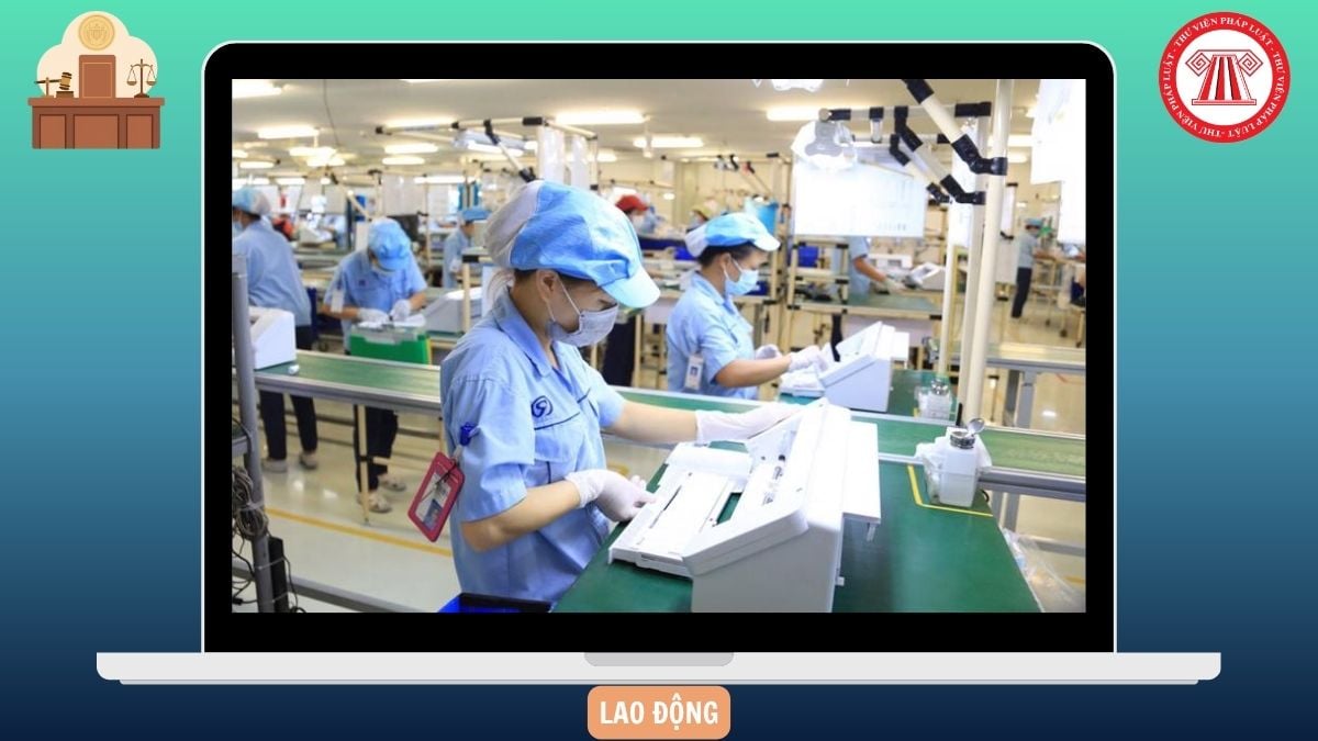 Hỏi đáp Pháp luật