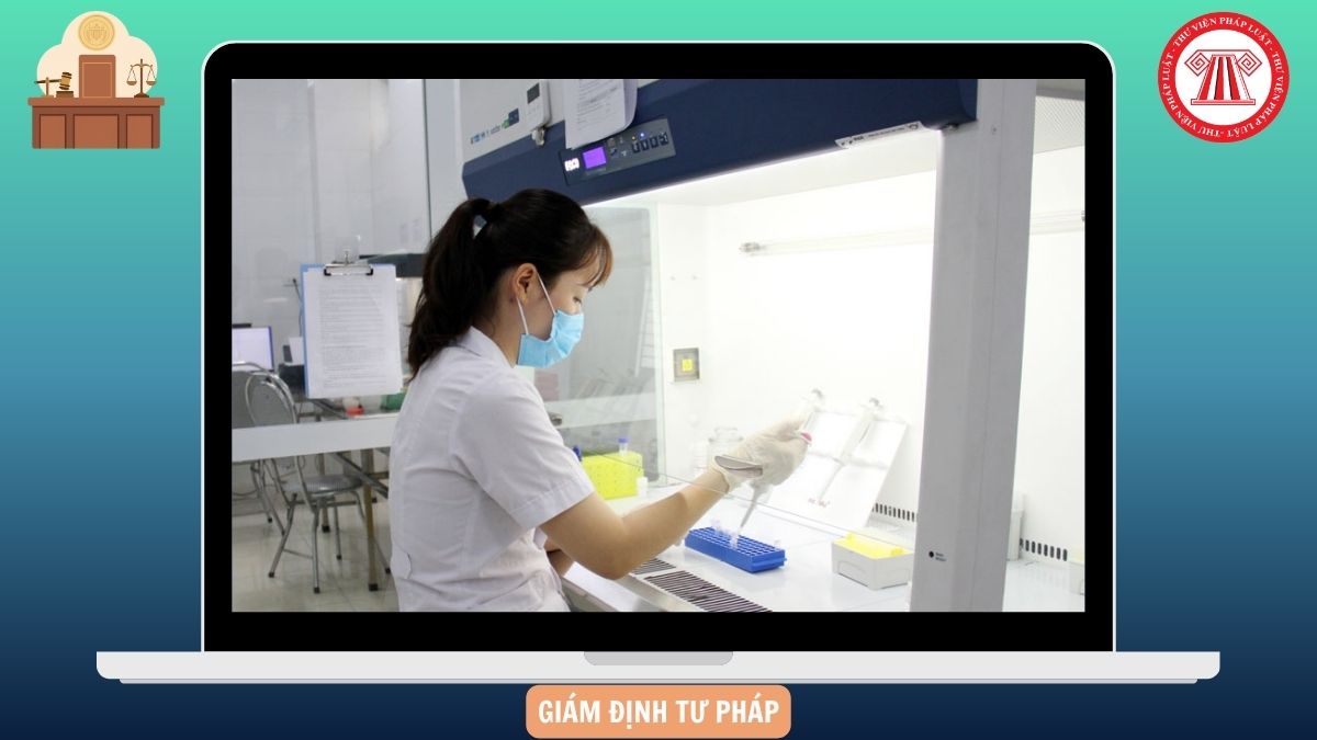 Hỏi đáp Pháp luật
