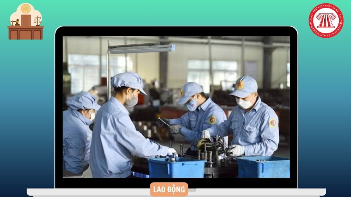 Hỏi đáp Pháp luật