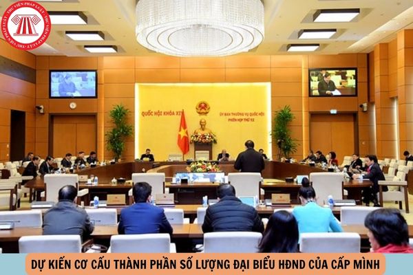 Hỏi đáp Pháp luật