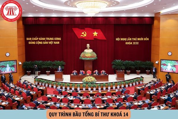 Hỏi đáp Pháp luật