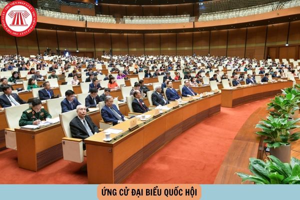 Hỏi đáp Pháp luật