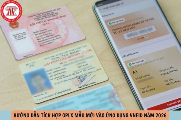 Hỏi đáp Pháp luật