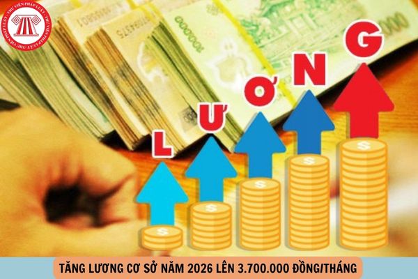 Hỏi đáp Pháp luật