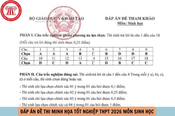 Hỏi đáp Pháp luật